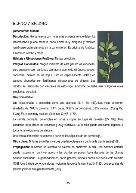 plantas-y-frutos-silvestres-comestibles-dr-cesar-lema-costas