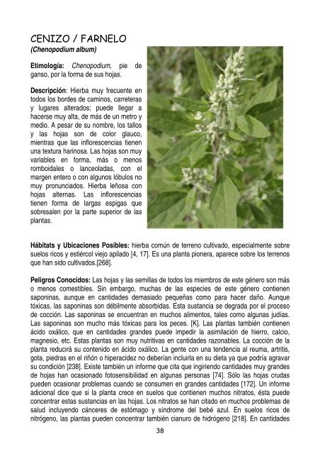 plantas-y-frutos-silvestres-comestibles-dr-cesar-lema-costas
