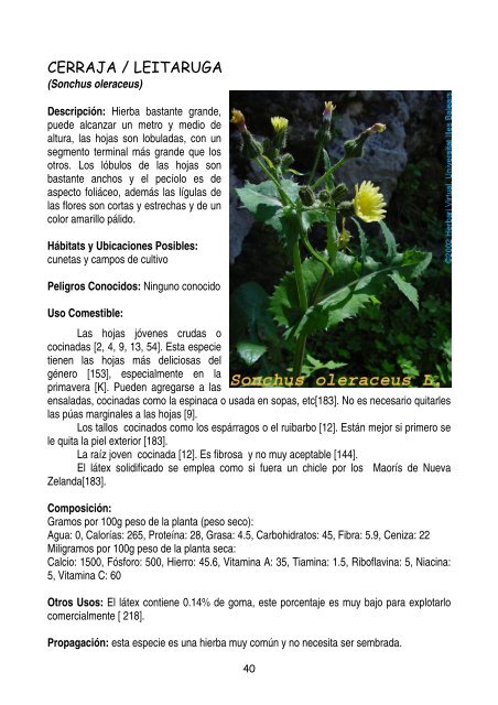 plantas-y-frutos-silvestres-comestibles-dr-cesar-lema-costas
