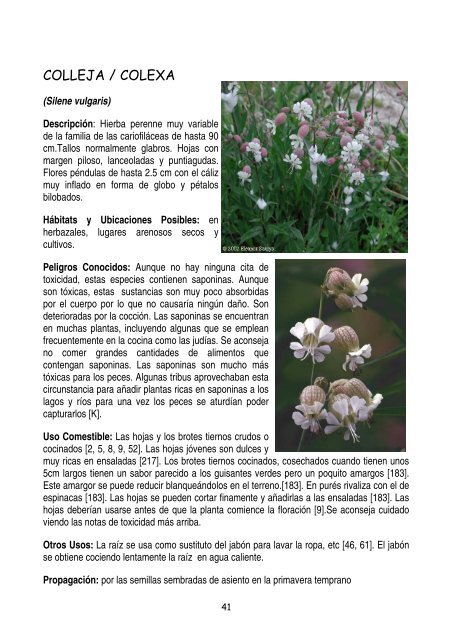 plantas-y-frutos-silvestres-comestibles-dr-cesar-lema-costas