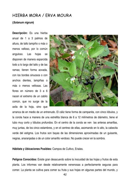 plantas-y-frutos-silvestres-comestibles-dr-cesar-lema-costas