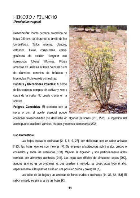 plantas-y-frutos-silvestres-comestibles-dr-cesar-lema-costas