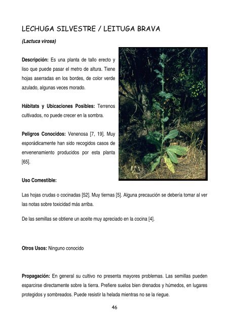 plantas-y-frutos-silvestres-comestibles-dr-cesar-lema-costas