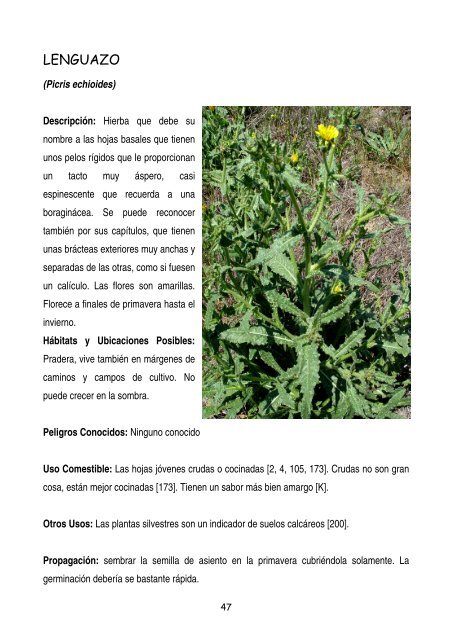 plantas-y-frutos-silvestres-comestibles-dr-cesar-lema-costas