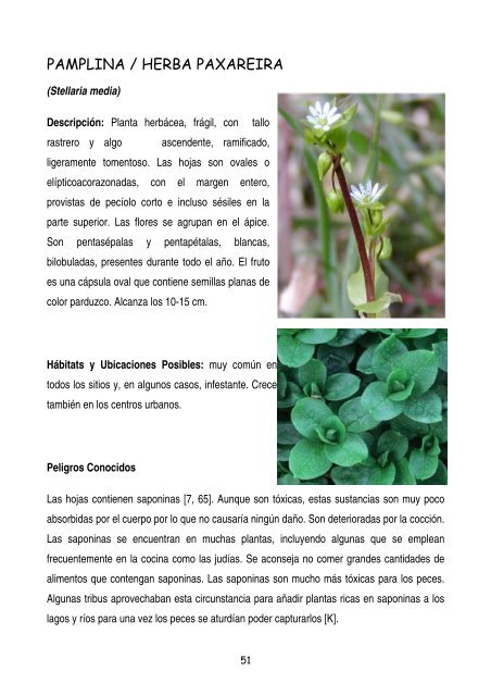 plantas-y-frutos-silvestres-comestibles-dr-cesar-lema-costas