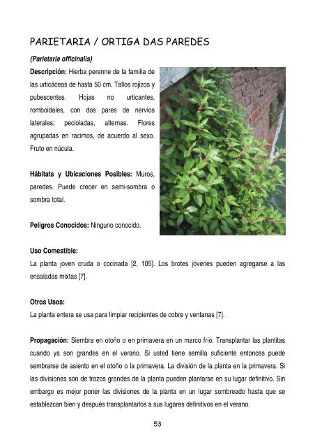 plantas-y-frutos-silvestres-comestibles-dr-cesar-lema-costas