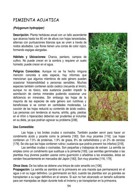 plantas-y-frutos-silvestres-comestibles-dr-cesar-lema-costas