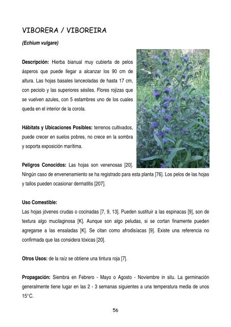 plantas-y-frutos-silvestres-comestibles-dr-cesar-lema-costas
