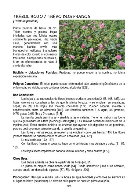 plantas-y-frutos-silvestres-comestibles-dr-cesar-lema-costas