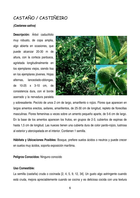 plantas-y-frutos-silvestres-comestibles-dr-cesar-lema-costas