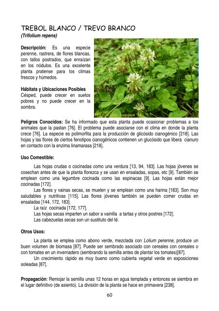 plantas-y-frutos-silvestres-comestibles-dr-cesar-lema-costas