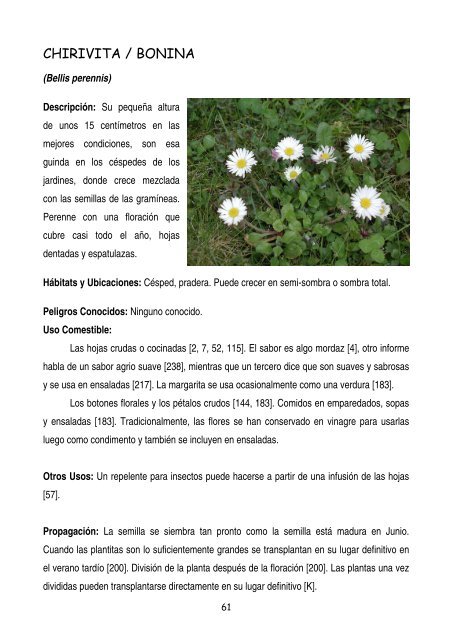 plantas-y-frutos-silvestres-comestibles-dr-cesar-lema-costas