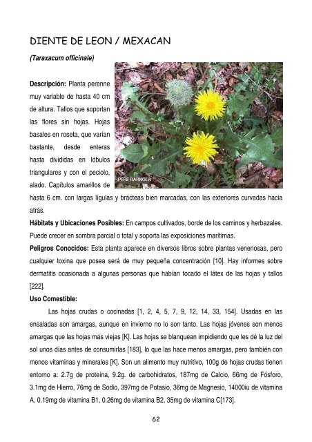 plantas-y-frutos-silvestres-comestibles-dr-cesar-lema-costas