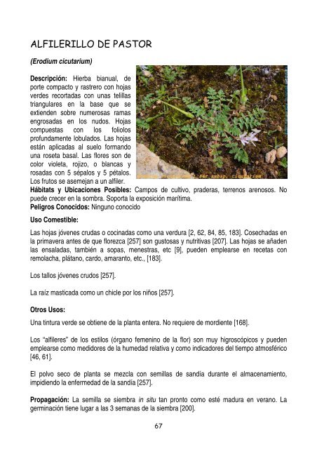 plantas-y-frutos-silvestres-comestibles-dr-cesar-lema-costas