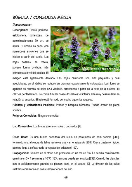 plantas-y-frutos-silvestres-comestibles-dr-cesar-lema-costas