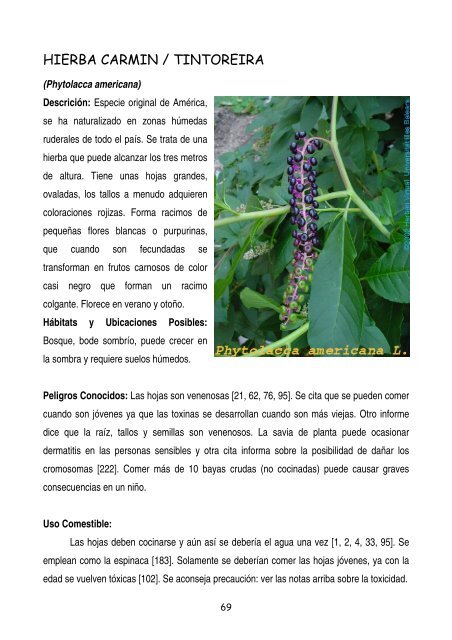 plantas-y-frutos-silvestres-comestibles-dr-cesar-lema-costas