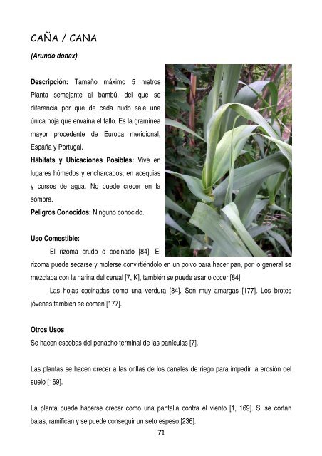 plantas-y-frutos-silvestres-comestibles-dr-cesar-lema-costas