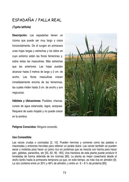 plantas-y-frutos-silvestres-comestibles-dr-cesar-lema-costas