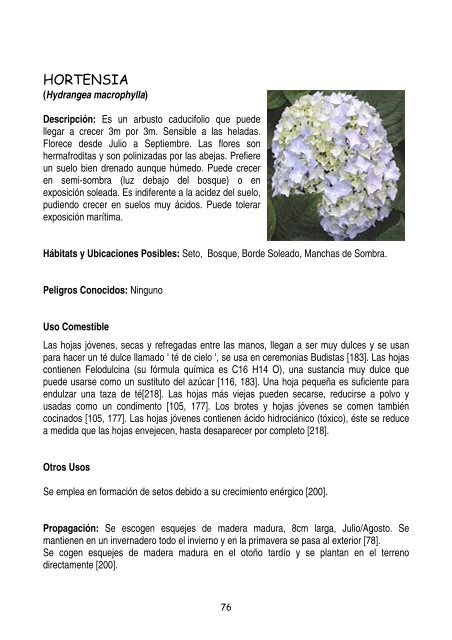 plantas-y-frutos-silvestres-comestibles-dr-cesar-lema-costas