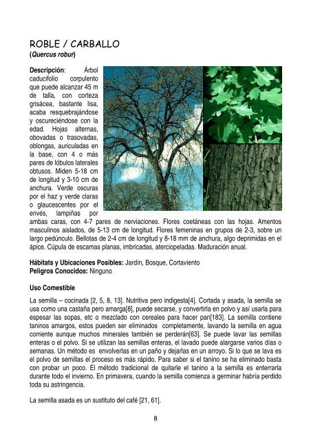 plantas-y-frutos-silvestres-comestibles-dr-cesar-lema-costas