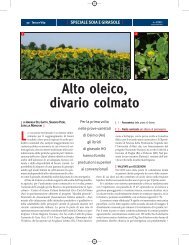 Visualizza l'articolo completo di immagini e tabella - Agricoltura24