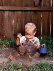 Reducing children's risk to soil lead: summary of a field experiment.