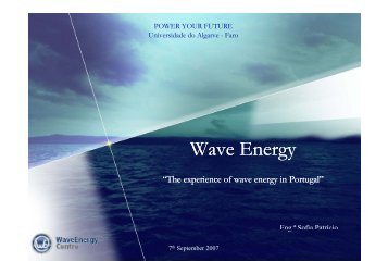 The experience of wave energy in Portugal - WavEC