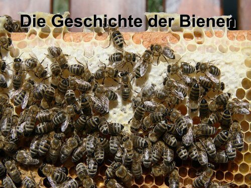 Die Geschichte der Bienen - Bienenzuchtverein Sulzbach ...