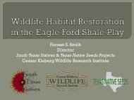 Wildlife Habitat Restoration and the Eagle Ford Shale Play