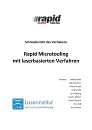 Rapid Microtooling mit laserbasierten Verfahren - Laserinstitut der ...