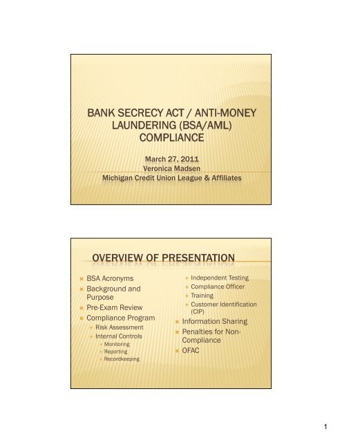 bank secrecy act / anti-money laundering (bsa/aml) compliance