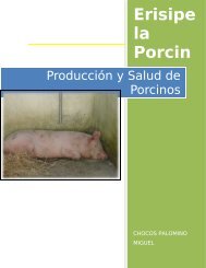 ProducciÃ³n y Salud de Porcinos - Centro de InformaciÃ³n de ...