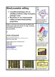 Grundpriciper för ekologisk odling och verkan av biodynamiska ...