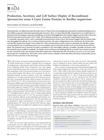 Production, Secretion, and Cell Surface Display of Recombinant ...