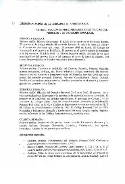 Syllabus Derecho Procesal Civil I - jorge andujar