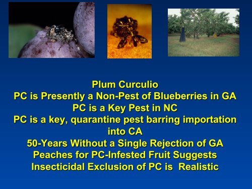 Southeastern Blueberry Insect & Mite Pest Management: Time In ...