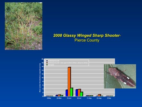 Southeastern Blueberry Insect & Mite Pest Management: Time In ...