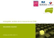 AnÃ¡lisis de la InnovaciÃ³n Empresarial en Chile - FundaciÃ³n PaÃ­s ...