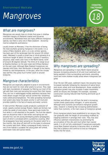 Mangrove factsheet