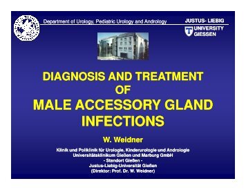 Diagnosis and treatment of male accessory gland infections - eshre