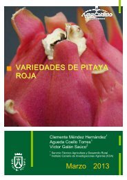 PublicaciÃ³n Definitivo Pitaya - AgroCabildo