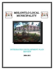 mhlontlo local municipality - Provincial Spatial Development plan