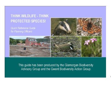 Think Protected Species - Merthyr Tydfil County Borough Council