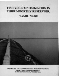 FISH YIELD OPTIMIZATION IN THIRUMOORTHY RESERVOIR,