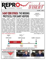 5-day cidr synch: the missing protocol for dairy heifers - Accelerated ...