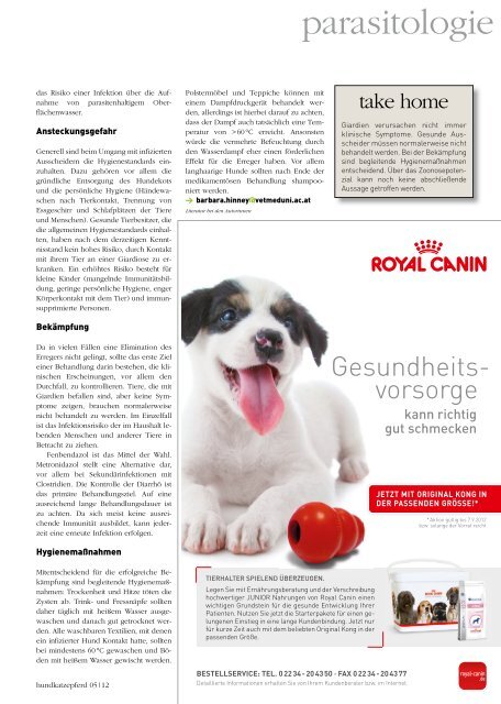 zum Download - hundkatzepferd