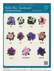 (African Violets) - Product Info (PDF) - ForemostCo