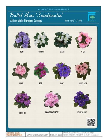 (African Violets) - Product Info (PDF) - ForemostCo