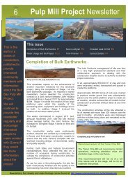 Pulp Mill Project Newsletter 6 - Gunns Ltd | Pulp Mill Project