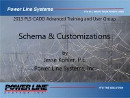 Schema & Customizations - Power Line Systems